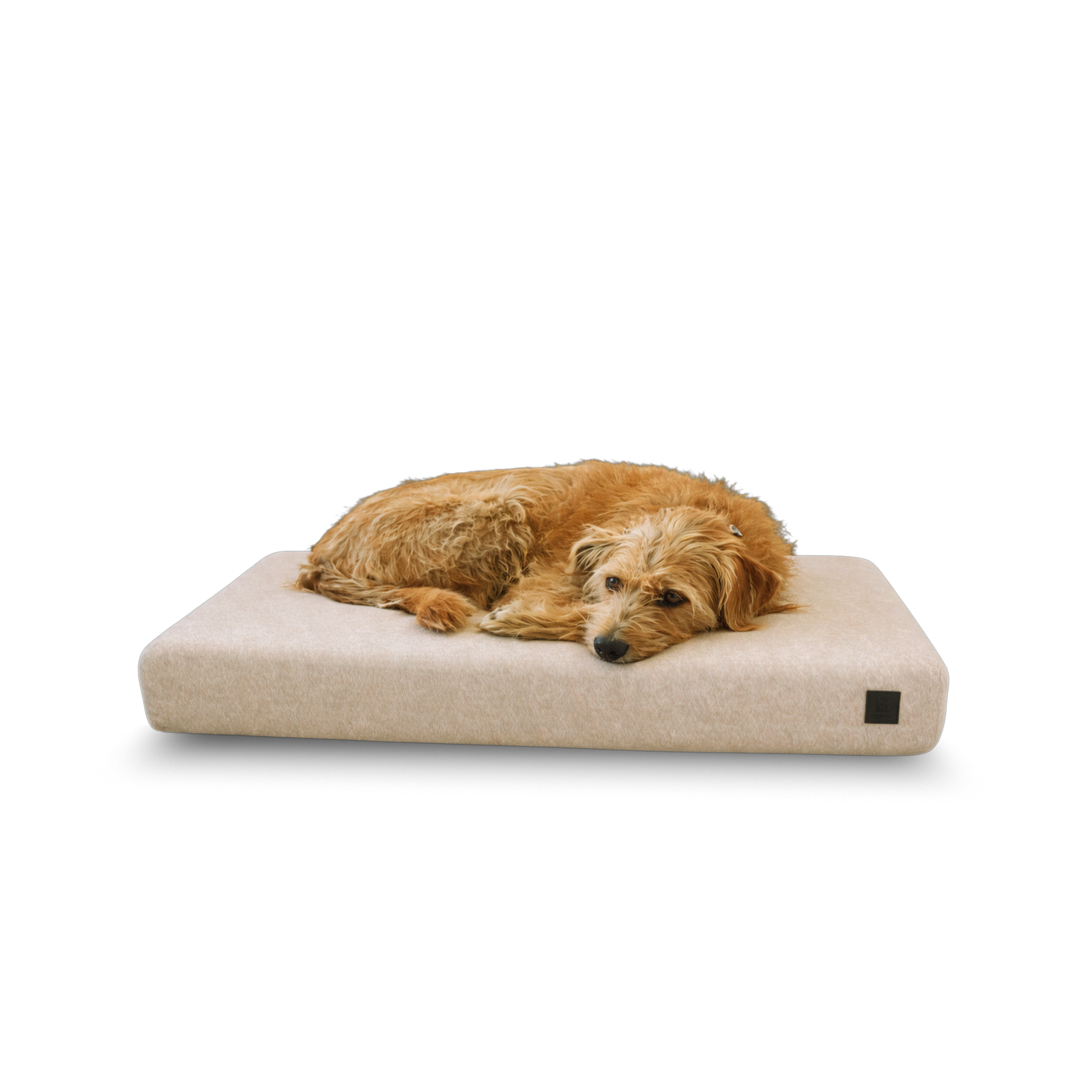 PlushPaw Orthopedic Memory-Foam Dog Bed with Removable Washable Cover
