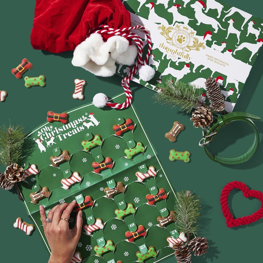 Dog Christmas Advent Calendar — 24 Days of Treats Down to the Big Morning